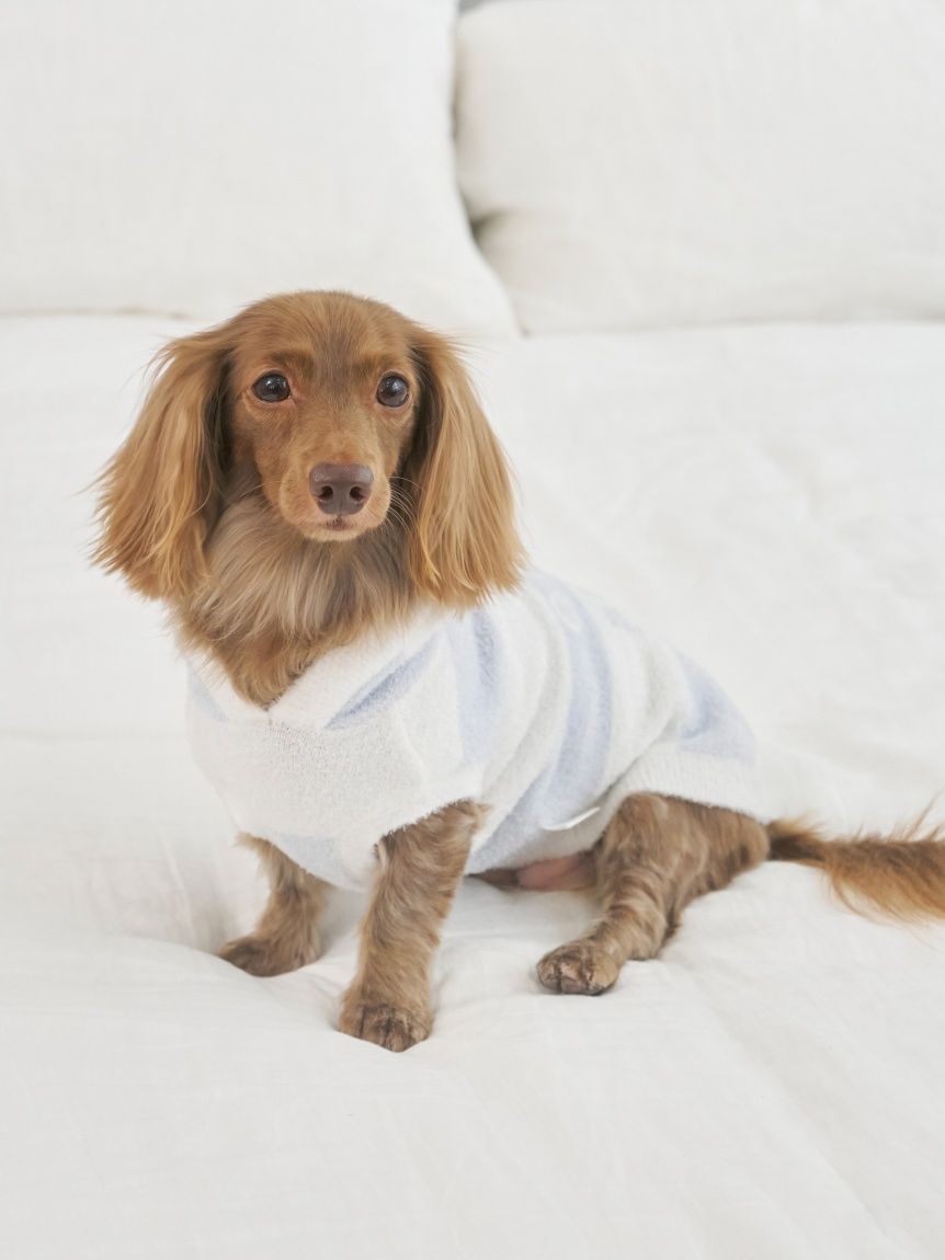  GELATO PIQUE CAT&DOG「【CAT&DOG】スムーズィーダックスサイズ２ボーダーフーディー」|その他|