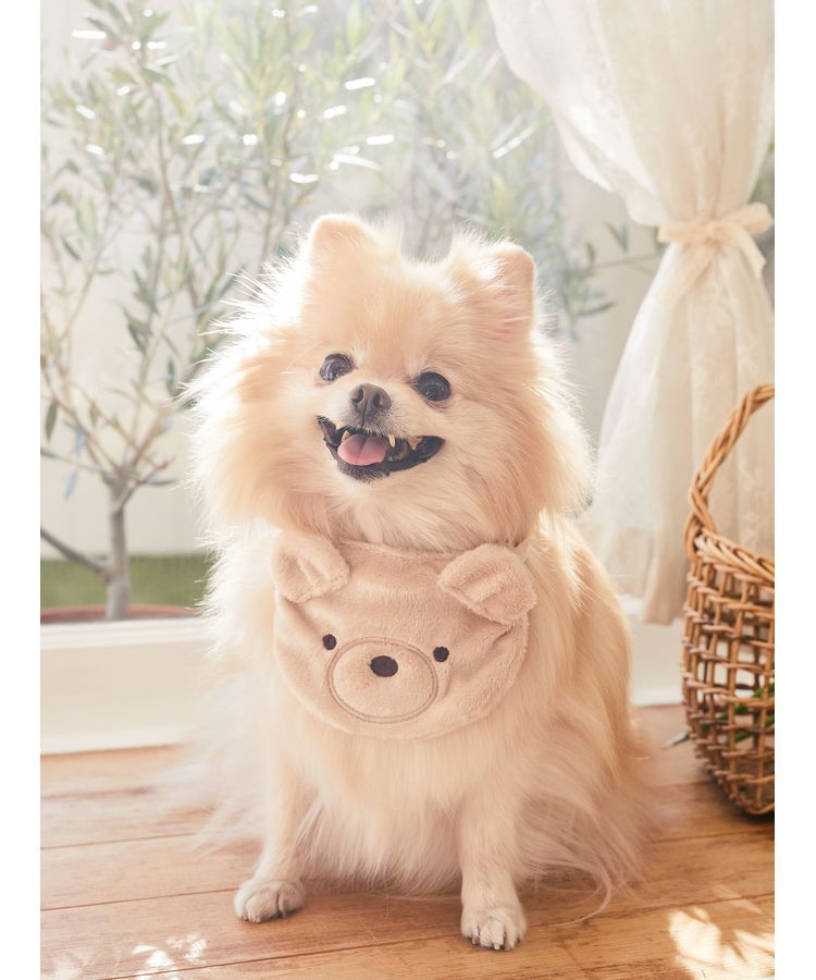 Maison de FLEUR「ベアスタイ」|その他|