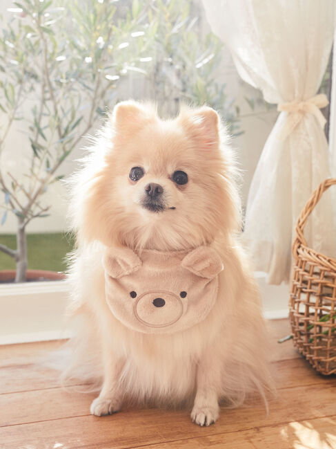 Maison de FLEUR「ベアスタイ」|その他|