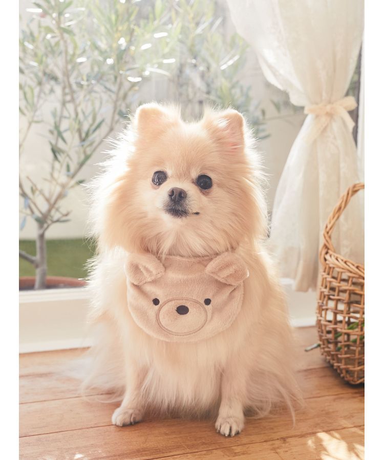 Maison de FLEUR「ベアスタイ」|その他|