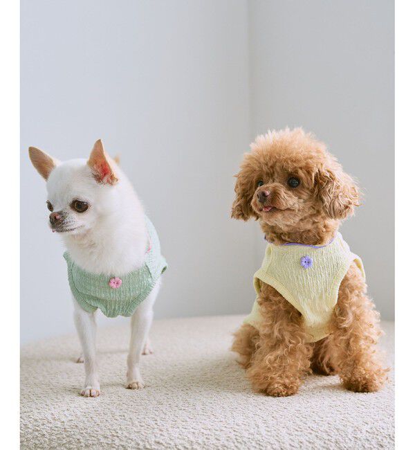 ROPE PICNIC PASSAGE「【DOG】パイピングタンクトップ」|その他|