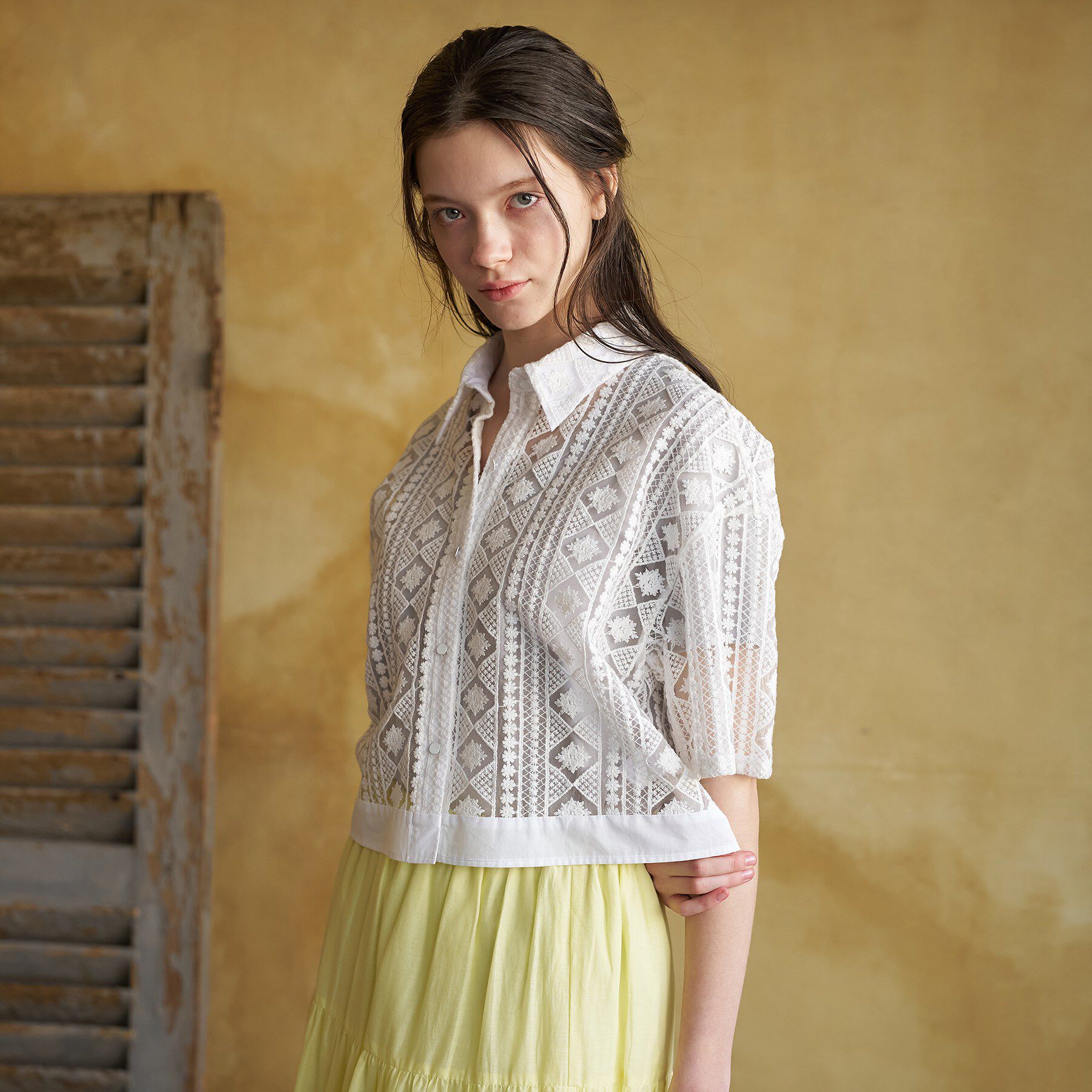 DRESSTERIOR「【着映え/ハーフ袖】ウォッシャブルレース クロップドシャツ」|シャツ・ブラウス|