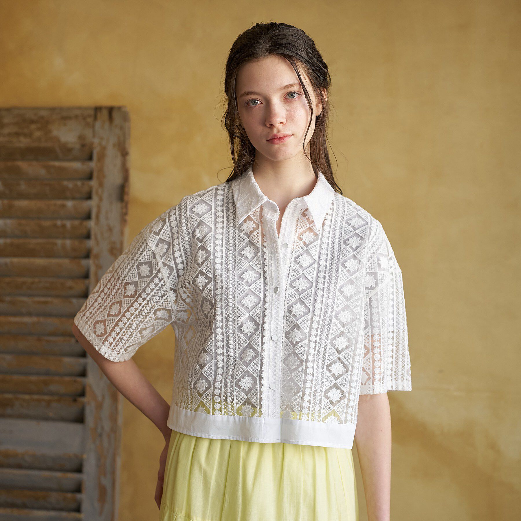 DRESSTERIOR「【着映え/ハーフ袖】ウォッシャブルレース クロップドシャツ」|シャツ・ブラウス|