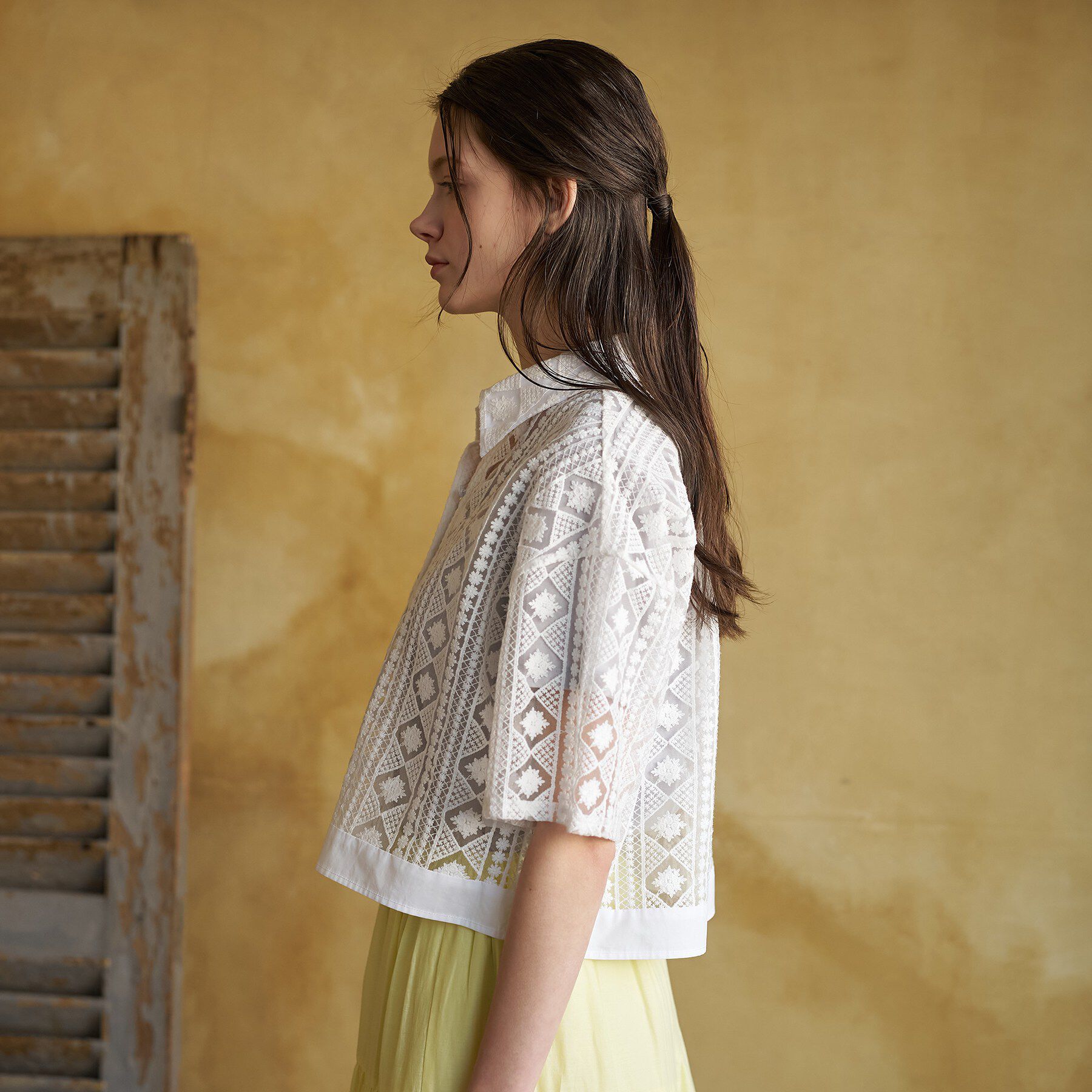 DRESSTERIOR「【着映え/ハーフ袖】ウォッシャブルレース クロップドシャツ」|シャツ・ブラウス|