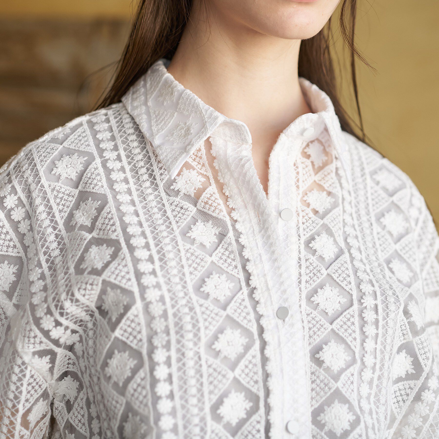 DRESSTERIOR「【着映え/ハーフ袖】ウォッシャブルレース クロップドシャツ」|シャツ・ブラウス|