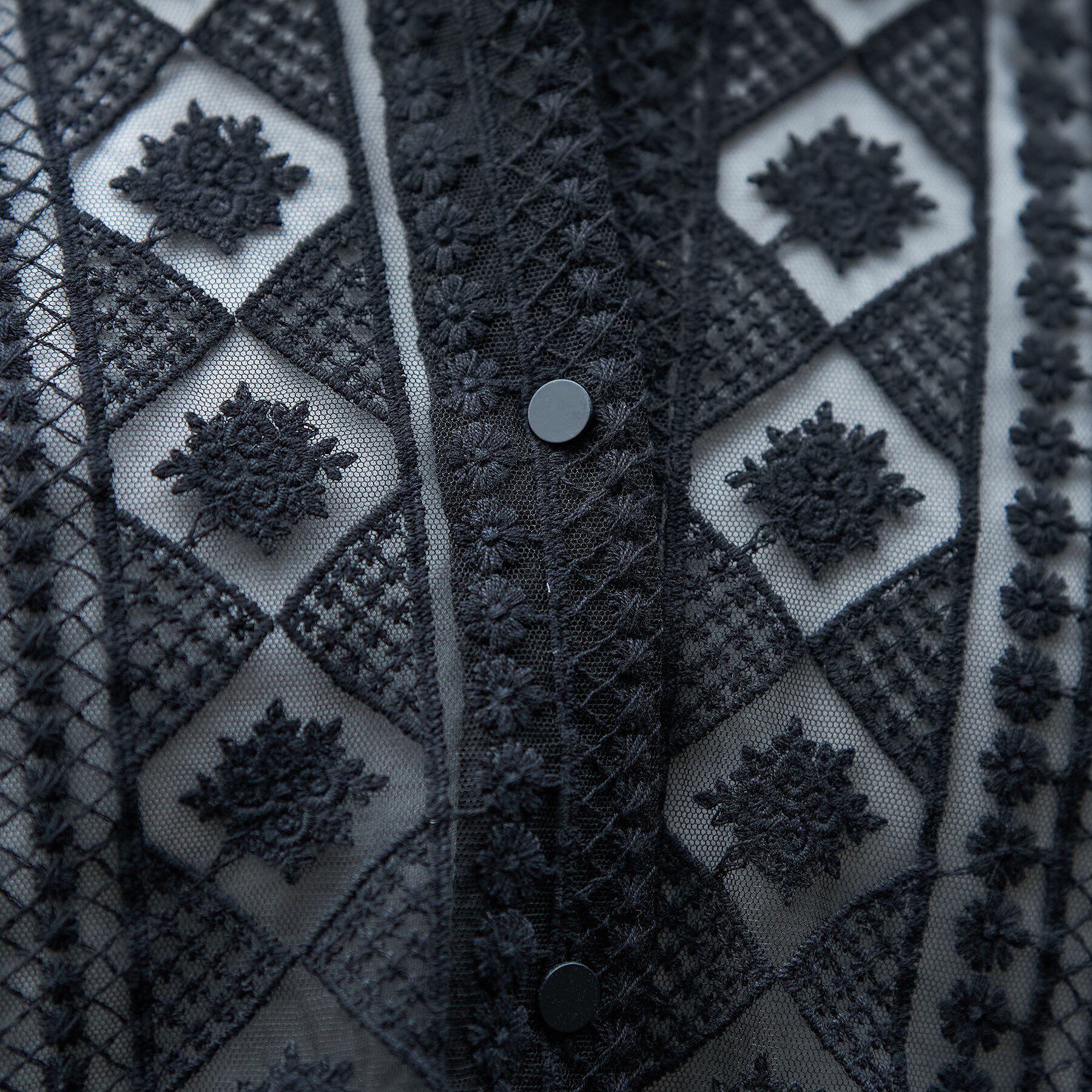 DRESSTERIOR「【着映え/ハーフ袖】ウォッシャブルレース クロップドシャツ」|シャツ・ブラウス|