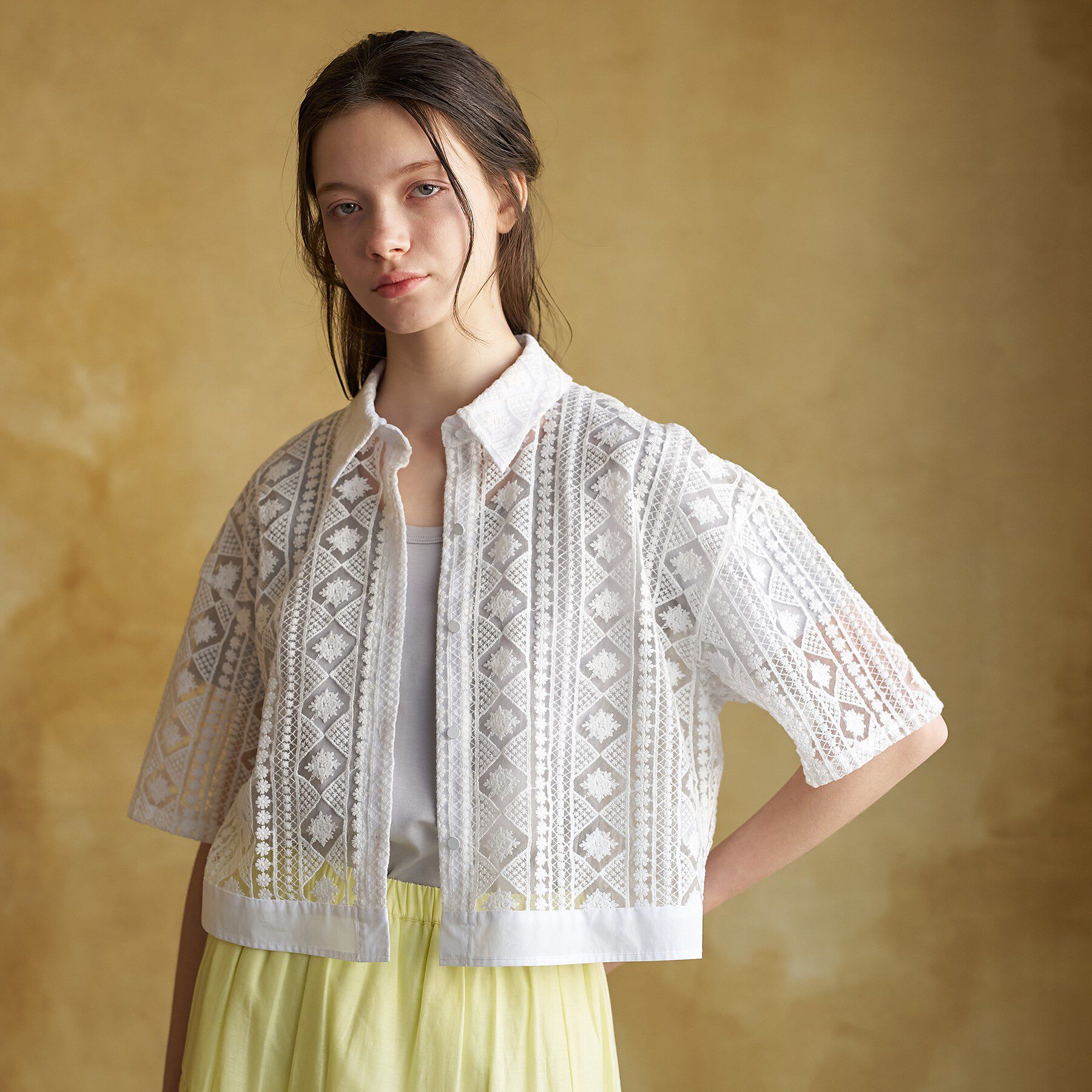 DRESSTERIOR「【着映え/ハーフ袖】ウォッシャブルレース クロップドシャツ」|シャツ・ブラウス|