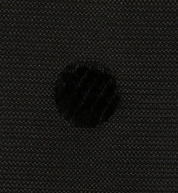 TOMORROWLAND collection「モールポルカドット ベルストレートパンツ」|その他|