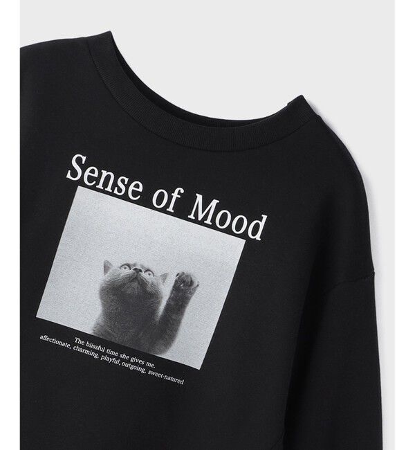 Diagram「Catphoto裏毛トップ」|その他|