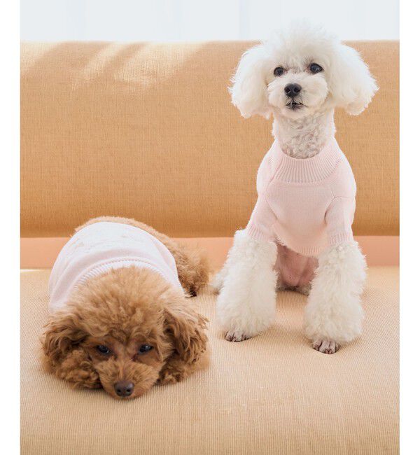 ROPE PICNIC PASSAGE「【DOG】スエットライク刺繍ニット/リンクコーデ」|その他|