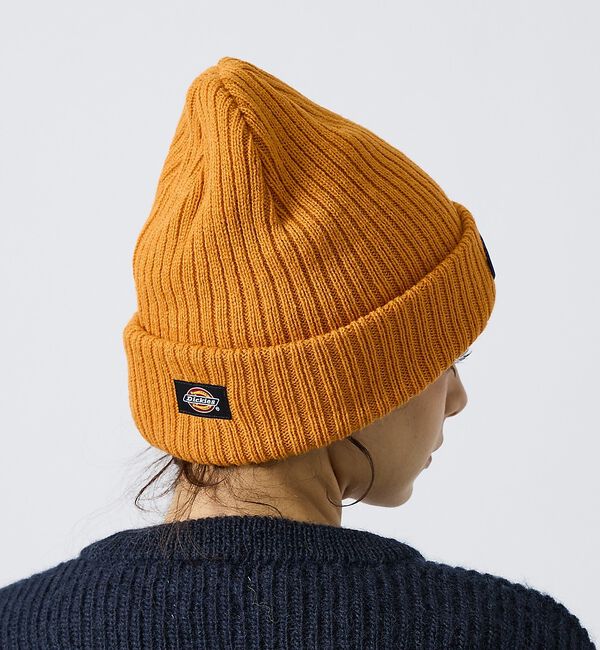 ABAHOUSE「【Dickies / ディッキーズ】BLOCK FONT WAPPEN WATC」|その他|