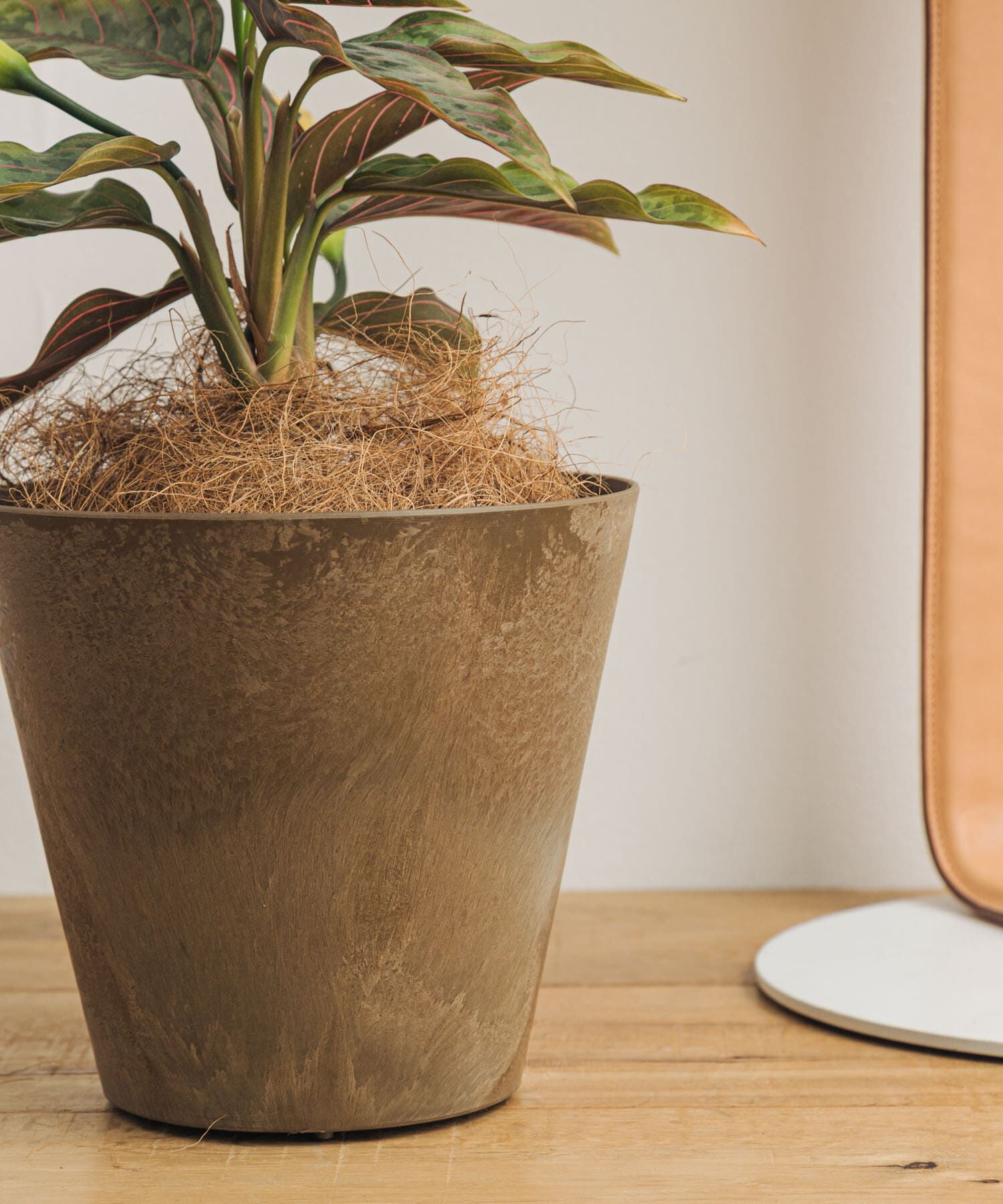 URBAN RESEARCH DOORS「amabro　ART STONE SS BR」|フィギュア・ホビー|