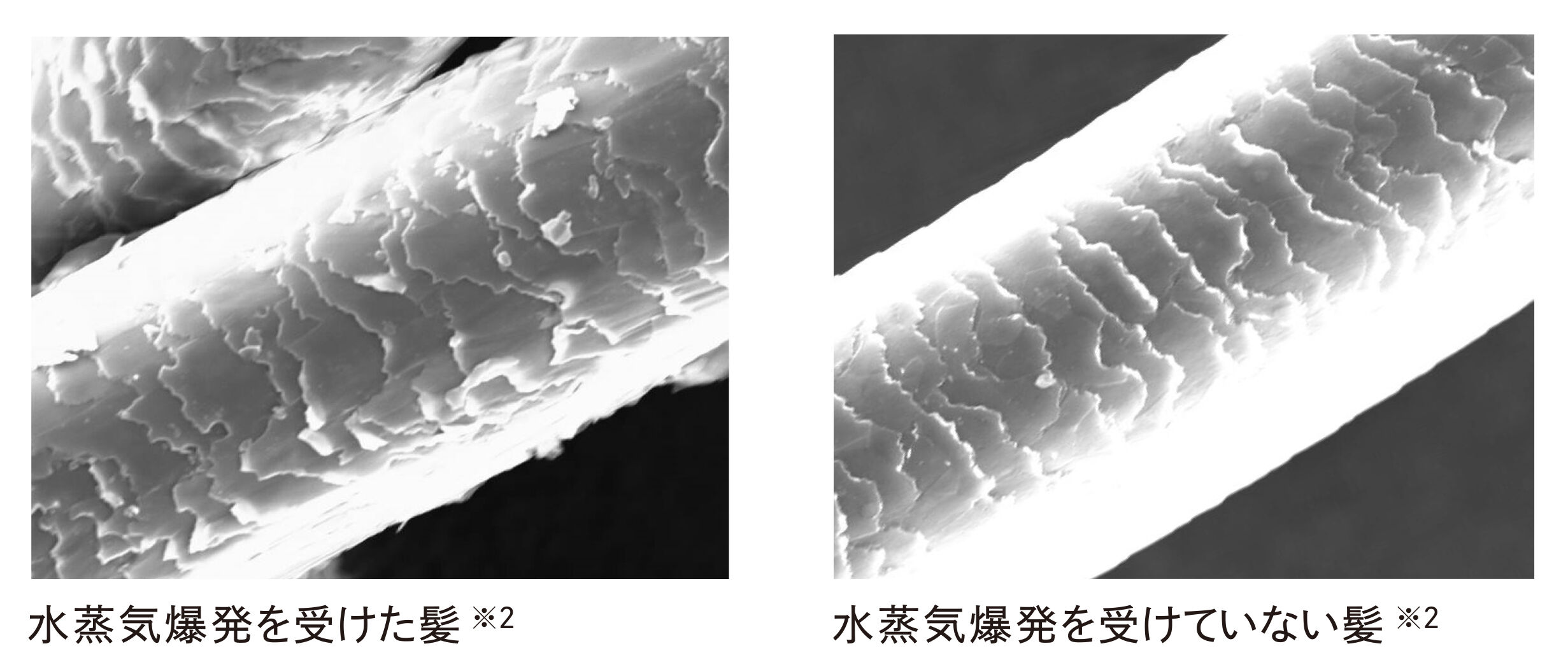 ReFa「リファカールアイロンプロ19」|ヘアスタイリング|