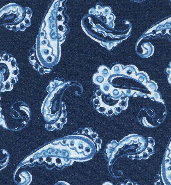 UNITED ARROWS「＜ERRICO FORMICOLA＞ペイズリー プリント ネクタイ」|ネクタイ・蝶ネクタイ|