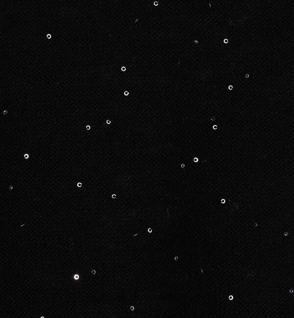 Ballsey「ミニスパンコール ハーフスリーブプルオーバー」|ニット・セーター|