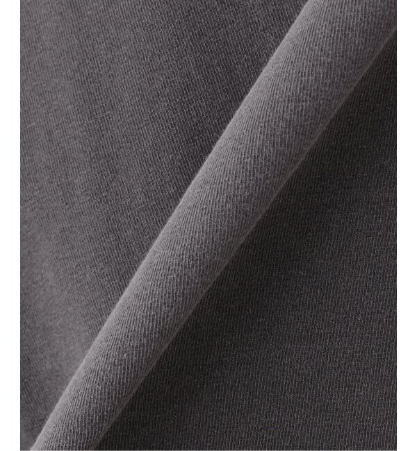 JOINT WORKS「CARHARTT WIP / カーハート ダブリューアイピー S/S NELSON T-SHIRT」|Tシャツ・カットソー|