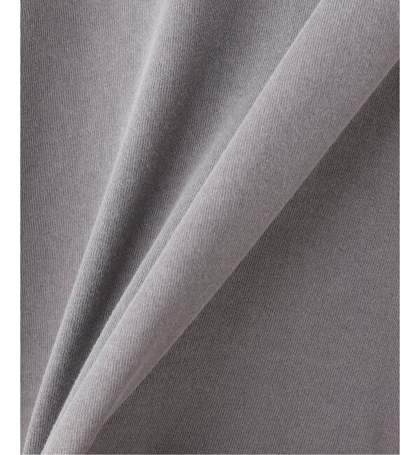 JOINT WORKS「CARHARTT WIP / カーハート ダブリューアイピー S/S NELSON T-SHIRT」|Tシャツ・カットソー|