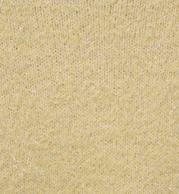 NOLLEY'S「《手洗い可能》ラメシャギープルオーバー」|ニット・セーター|