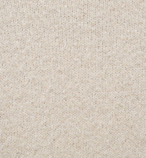 NOLLEY'S「《手洗い可能》ラメシャギープルオーバー」|ニット・セーター|