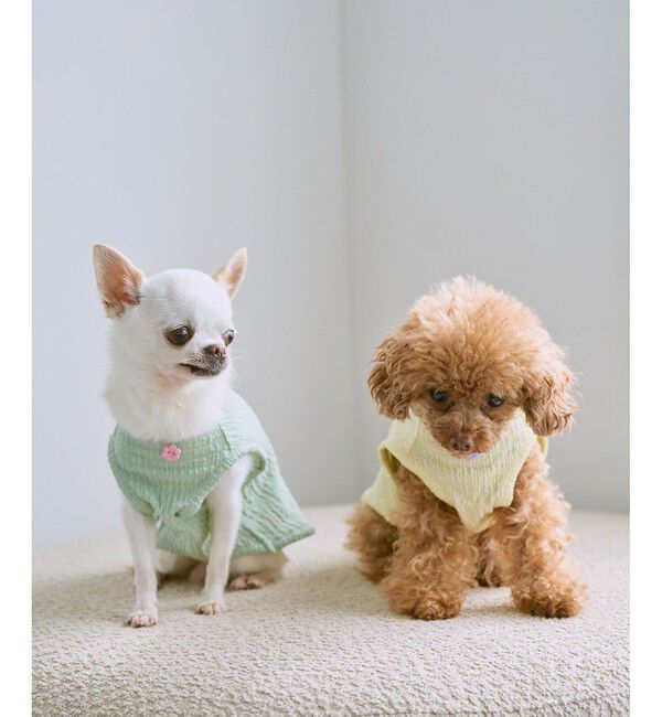 ROPE PICNIC PASSAGE「【DOG】パイピングタンクトップ」|その他|