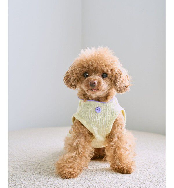 ROPE PICNIC PASSAGE「【DOG】パイピングタンクトップ」|その他|