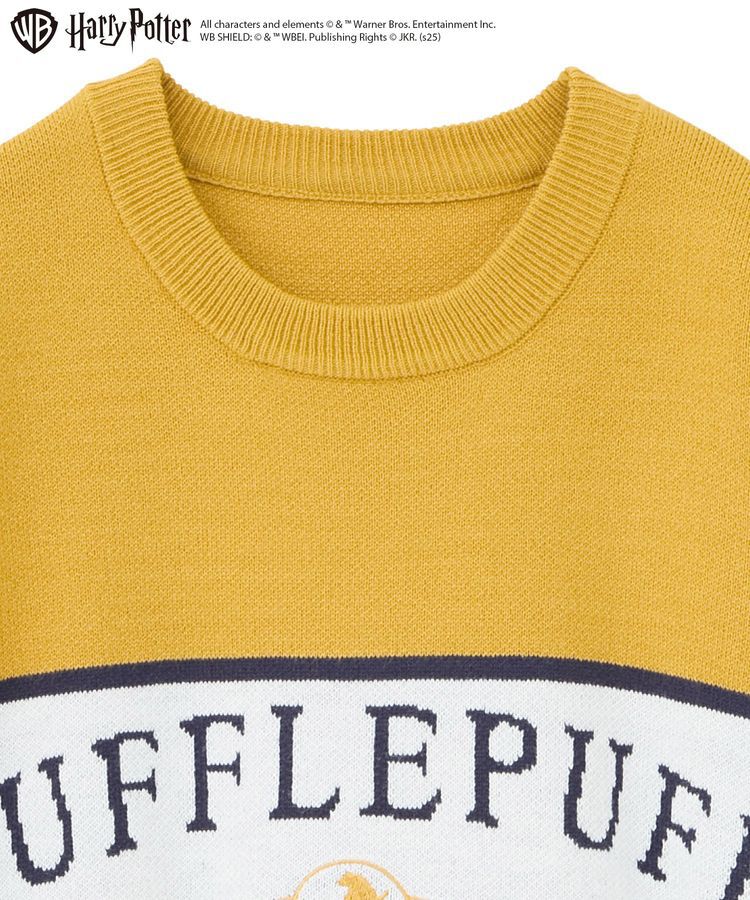 Green Parks「ハリー・ポッター/ジャガードラインニット」|ニット・セーター|