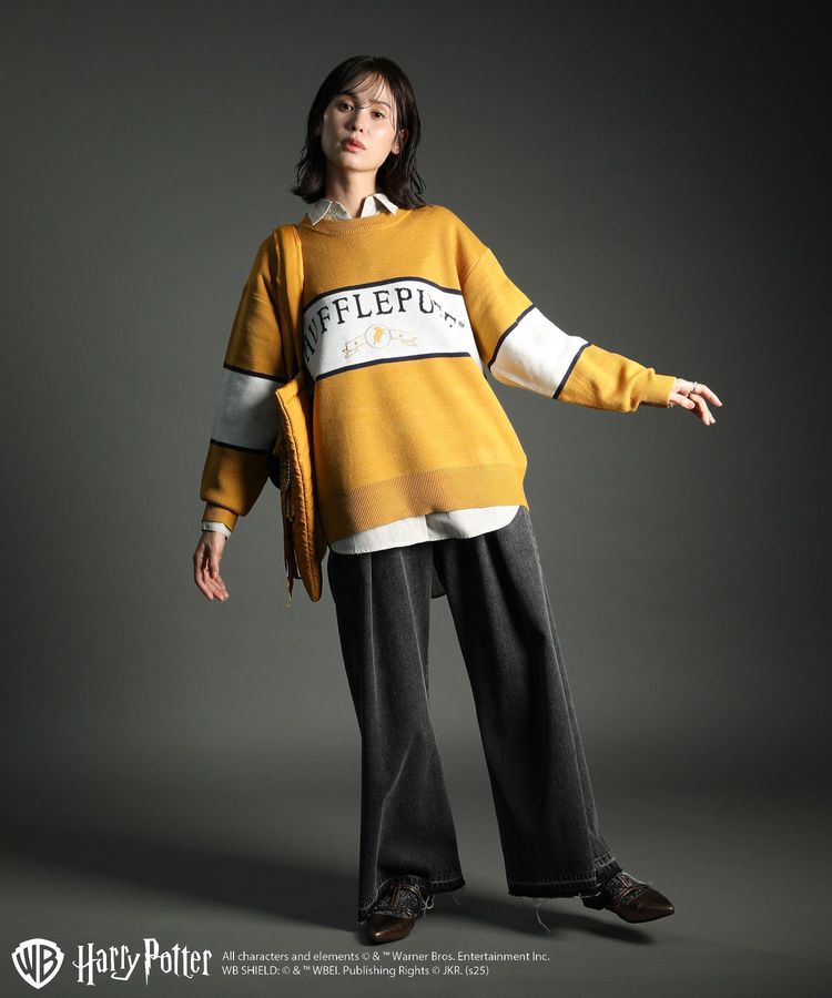 Green Parks「ハリー・ポッター/ジャガードラインニット」|ニット・セーター|