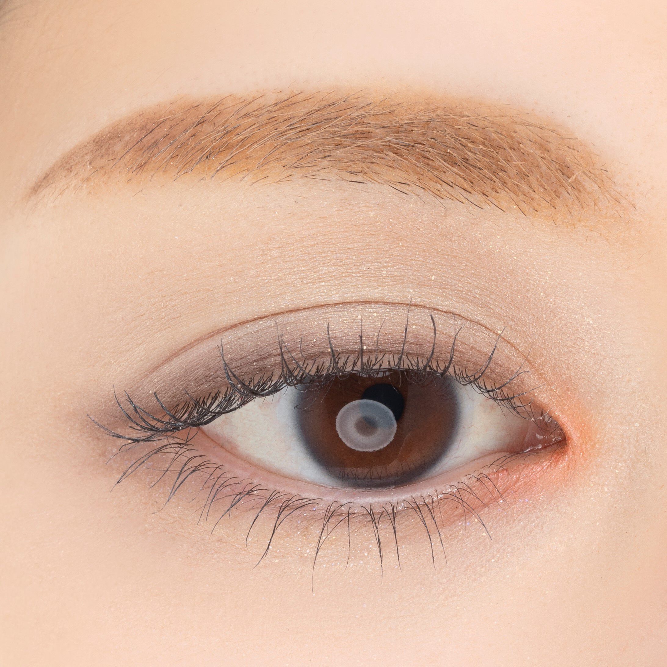 PAUL&JOE「ポール & ジョー アイデザインパレット ０４「フィルム ダムール」」|アイシャドウ|