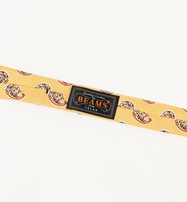 BEAMS PLUS「BEAMS PLUS / シルク ペイズリー プリント タイ」|ネクタイ・蝶ネクタイ|