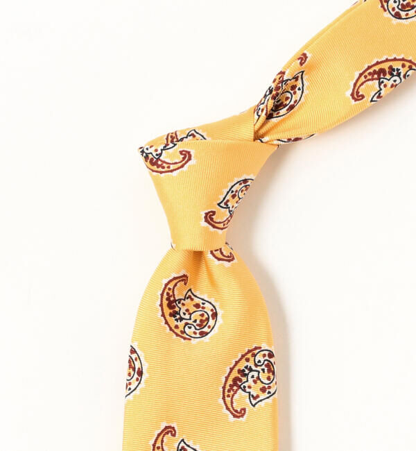 BEAMS PLUS「BEAMS PLUS / シルク ペイズリー プリント タイ」|ネクタイ・蝶ネクタイ|