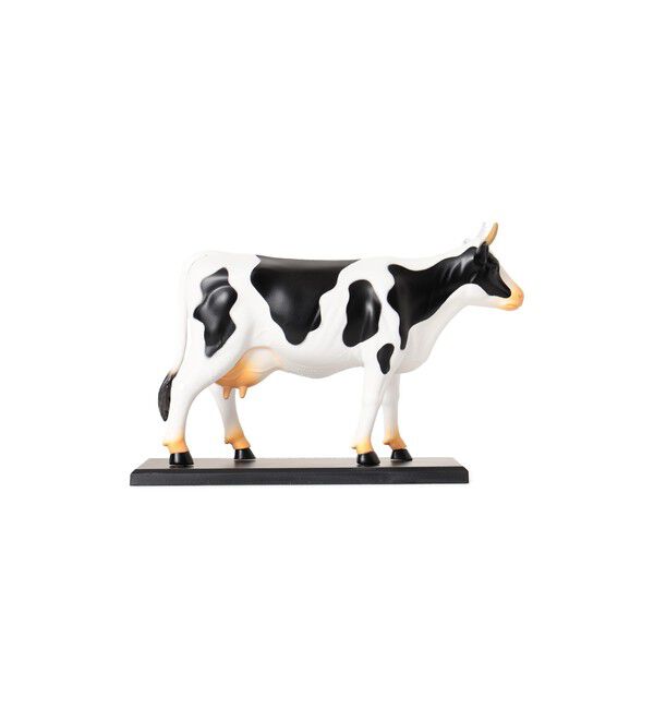 BEAMS「4D MASTER / ANIMAL ANATOMY」|その他|