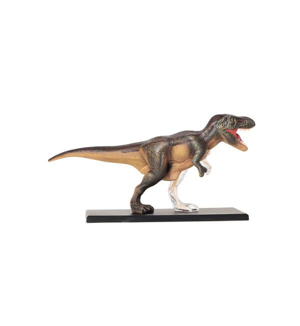 BEAMS「4D MASTER / ANIMAL ANATOMY」|その他|