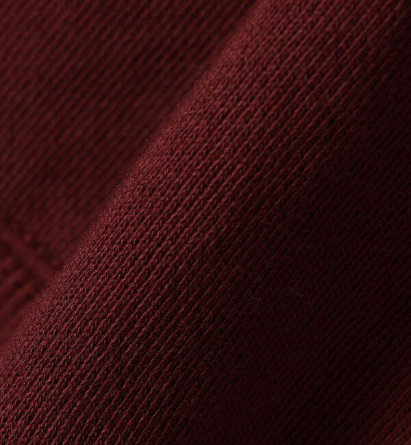 SHIPS any「【WEB限定】SHIPS any: USA コットン 裏起毛 コンパクト スナップ カーディガン」|カーディガン|