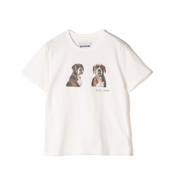 SHIPS for women「【SHIPS別注】ACASAM: フォト TEE」|Tシャツ・カットソー|