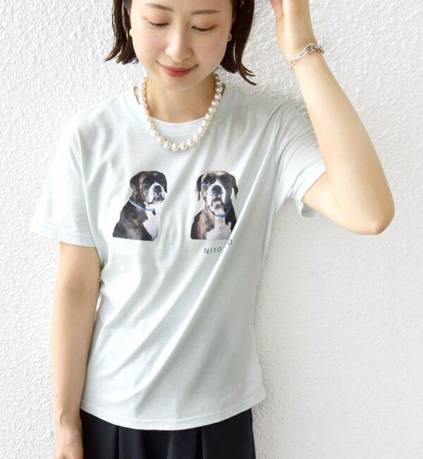 SHIPS for women「【SHIPS別注】ACASAM: フォト TEE」|Tシャツ・カットソー|