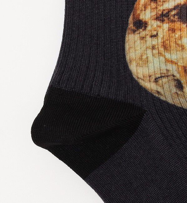 SHIPS「ROSTER SOX: WEC」|ソックス|