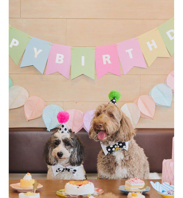 ROPE PICNIC PASSAGE「【DOG】【comif(コミフ)&times;ROPE' PICNIC】バースデーセット」|その他|