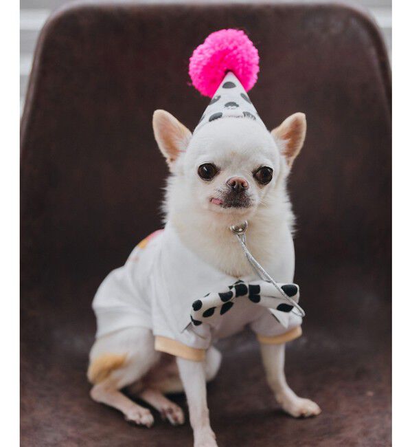 ROPE PICNIC PASSAGE「【DOG】【comif(コミフ)&times;ROPE' PICNIC】バースデーセット」|その他|