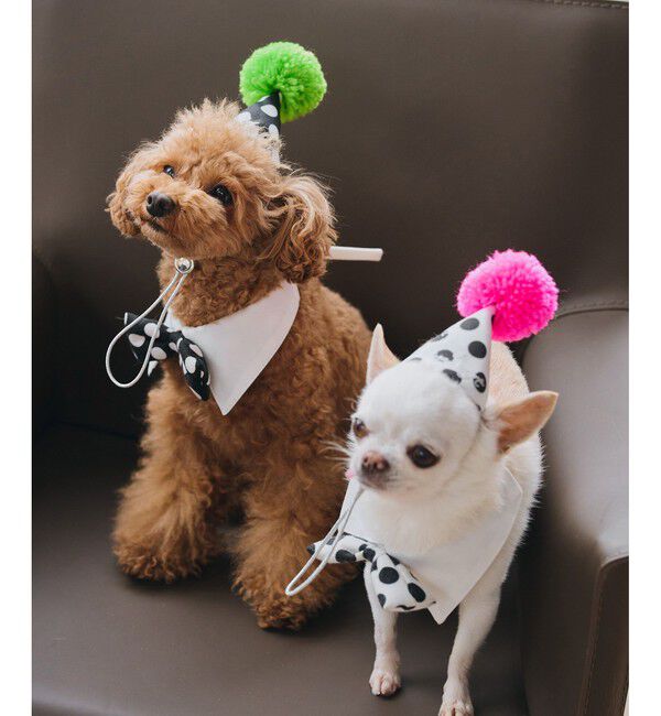 ROPE PICNIC PASSAGE「【DOG】【comif(コミフ)&times;ROPE' PICNIC】バースデーセット」|その他|