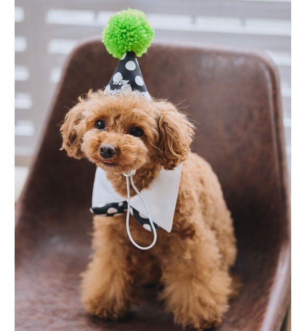 ROPE PICNIC PASSAGE「【DOG】【comif(コミフ)&times;ROPE' PICNIC】バースデーセット」|その他|