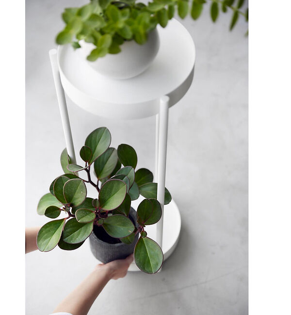 collex「【tower】 キャスター付きプランタースタンド 2段」|その他|