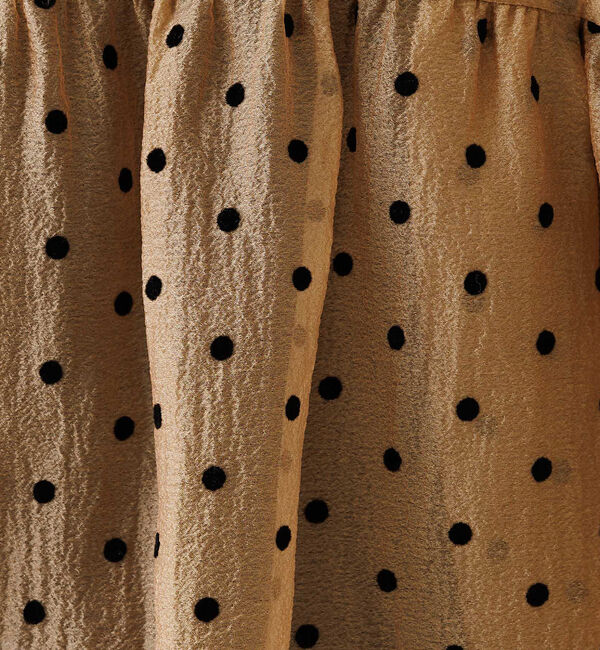 Rouge vif「シアードットフロッキーブラウス」|シャツ・ブラウス|