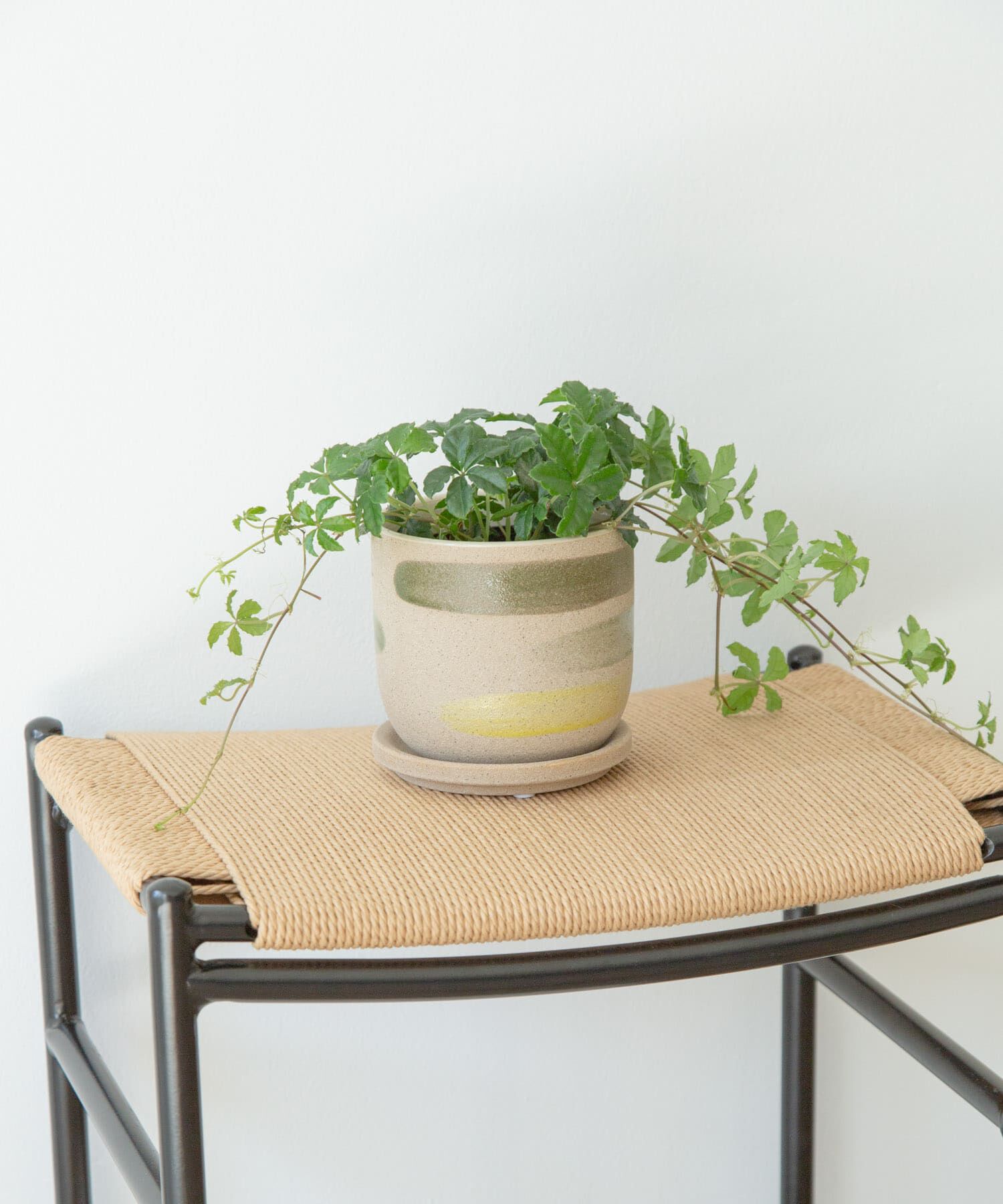 URBAN RESEARCH DOORS「FARM　デシレ 11G」|フィギュア・ホビー|