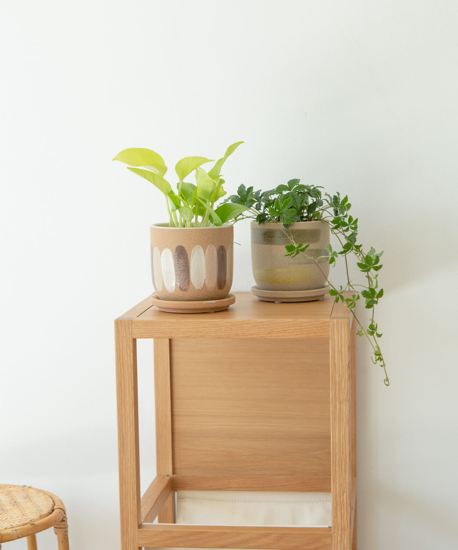 URBAN RESEARCH DOORS「FARM　デシレ 11G」|フィギュア・ホビー|