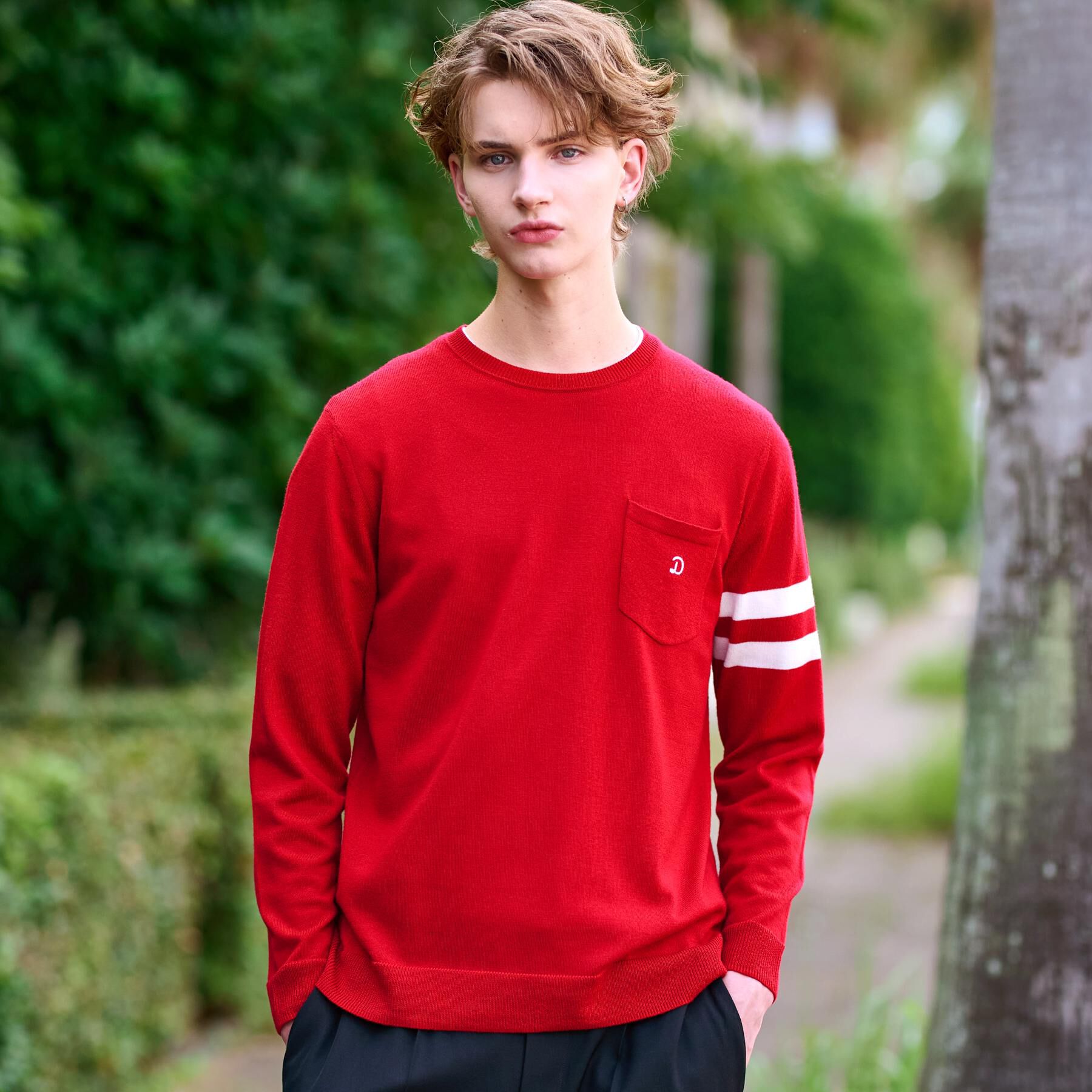 DRESSTERIOR「ウォッシャブルファインメリノ クルーネックニット」|ニット・セーター|レッド(062)