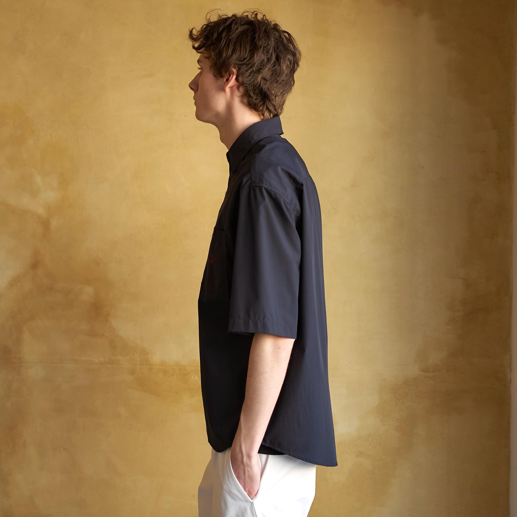 DRESSTERIOR「イージーケア シャツプルオーバー」|シャツ・ブラウス|