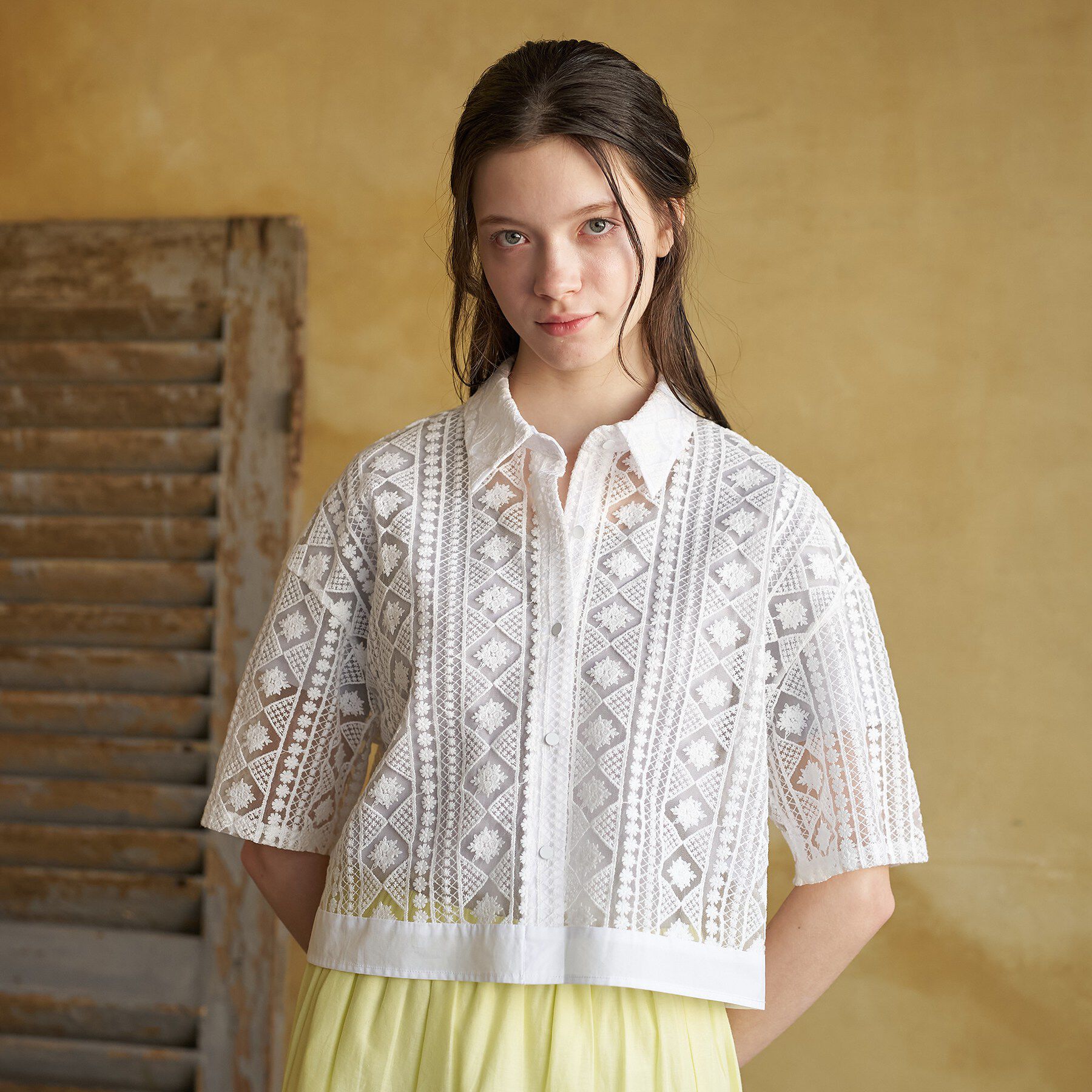 DRESSTERIOR「【着映え/ハーフ袖】ウォッシャブルレース クロップドシャツ」|シャツ・ブラウス|