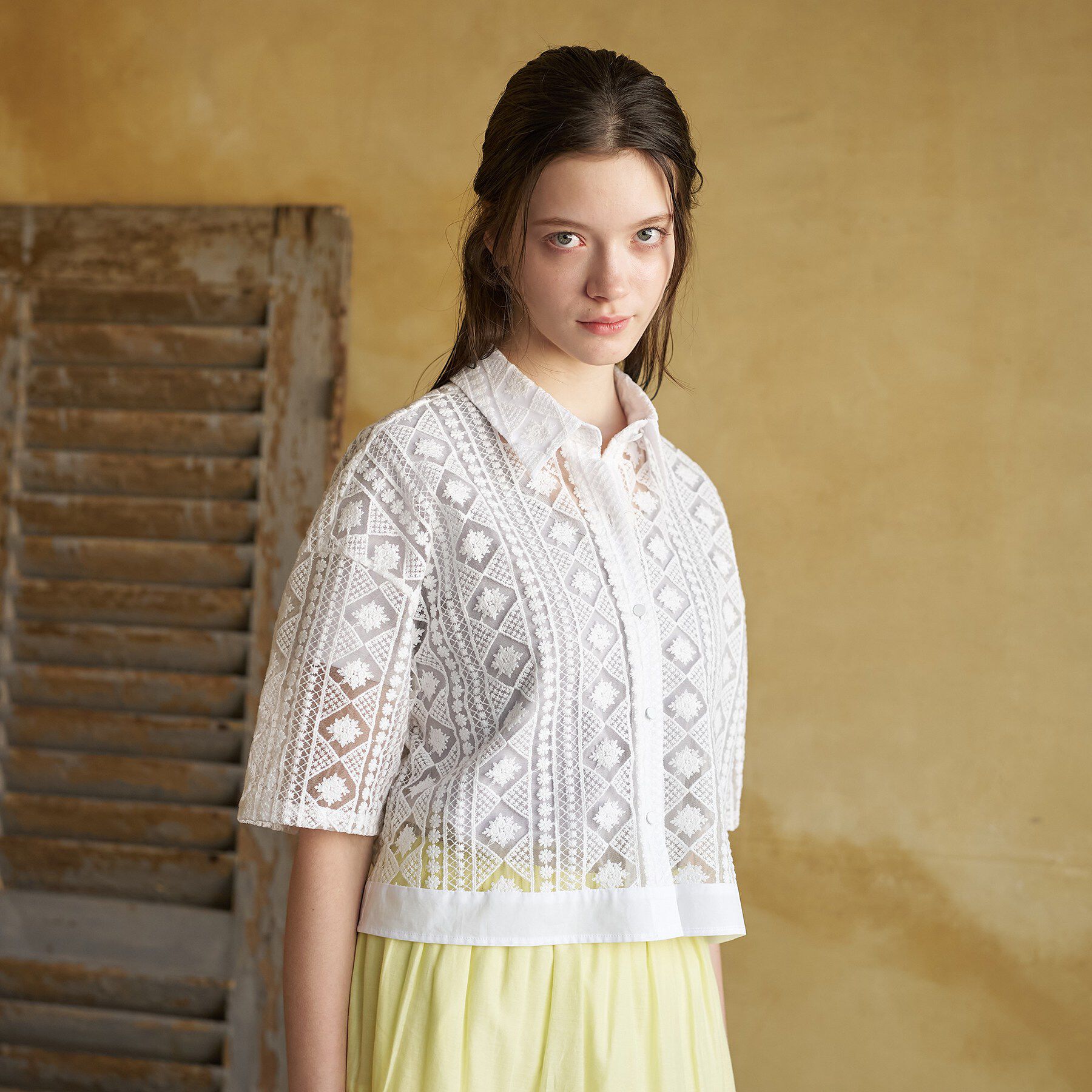 DRESSTERIOR「【着映え/ハーフ袖】ウォッシャブルレース クロップドシャツ」|シャツ・ブラウス|