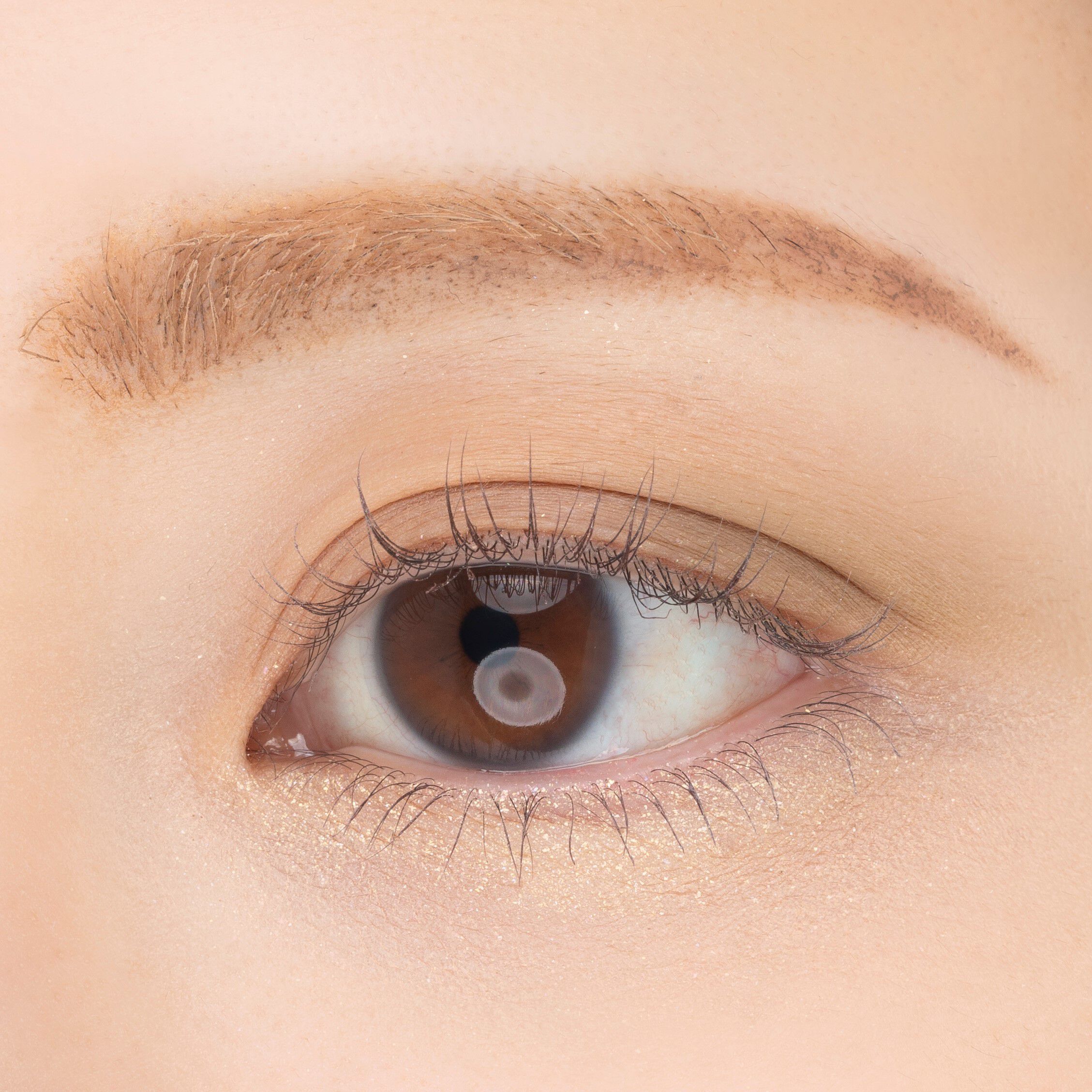 PAUL&JOE「ポール & ジョー アイデザインパレット ０５「ブックシェルフ」」|アイシャドウ|