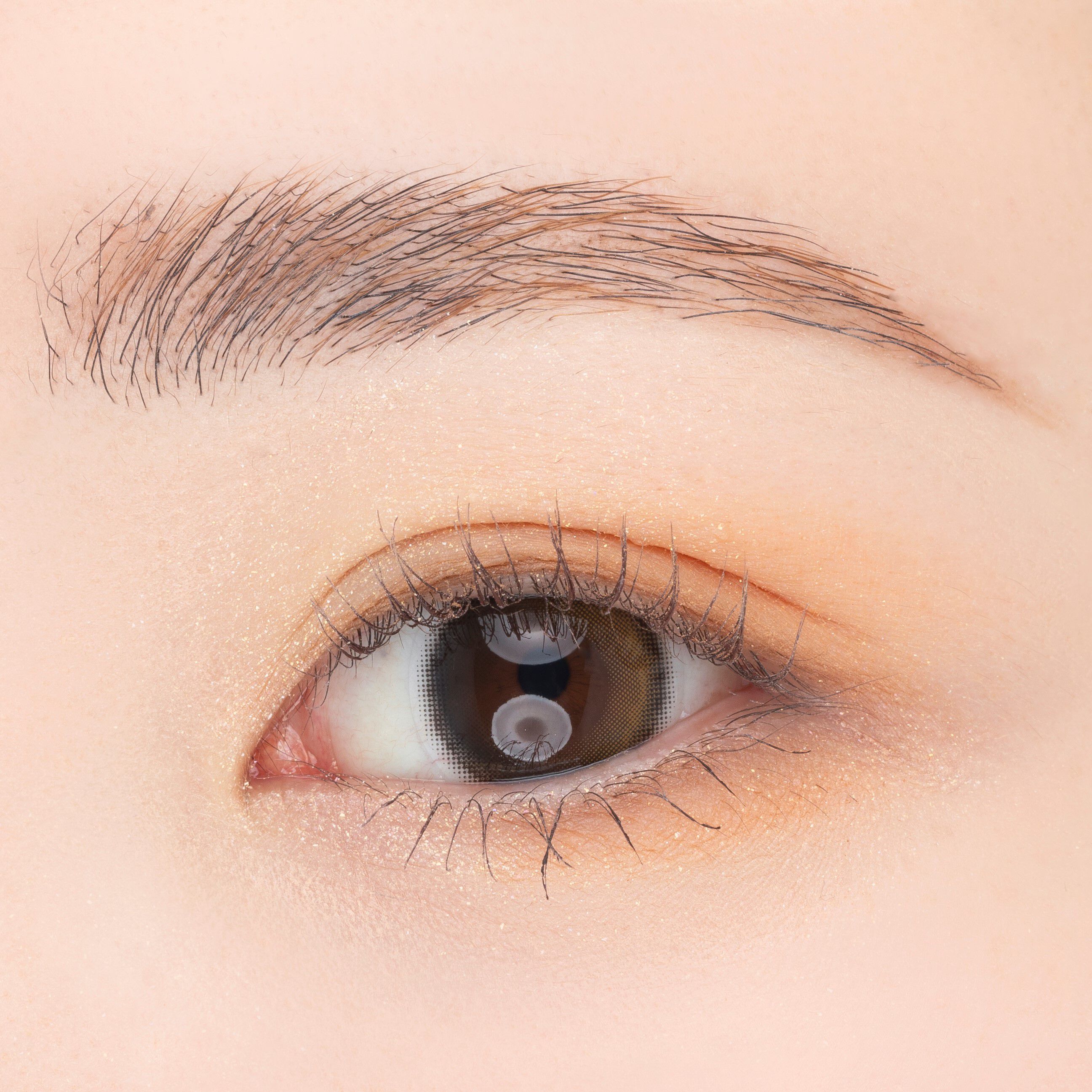 PAUL&JOE「ポール & ジョー アイデザインパレット ０５「ブックシェルフ」」|アイシャドウ|